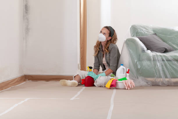 Reliable Mold Remediation contractor in Pendleton, OR by WQB Mold Removal